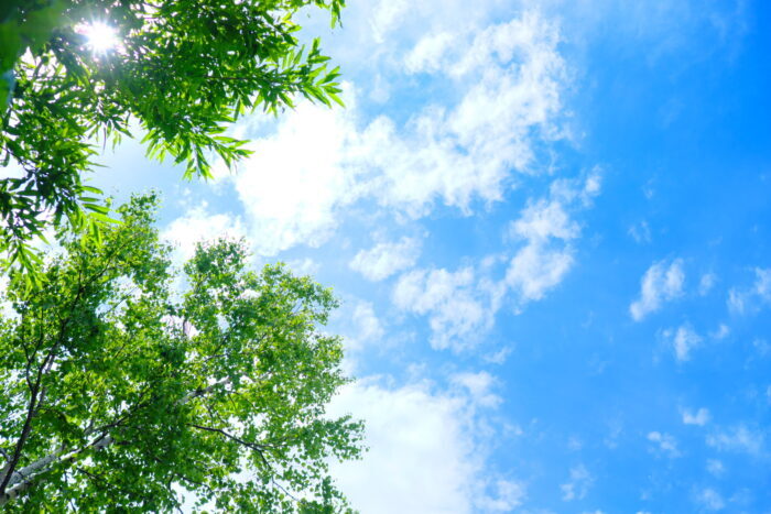 pixta_98038593_M